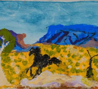 Two Black Brumbies on Kaltukatjara Country (Docker River)