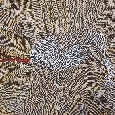 Untitled (Wilkinkarra)