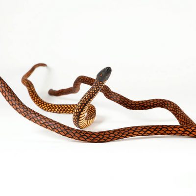 MAR01-23-Wanampi-Water-serpents-Billy-Cooley
